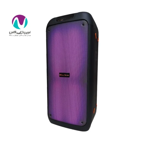 اسپیکر شارژی گلسی بیت رویال r-d31